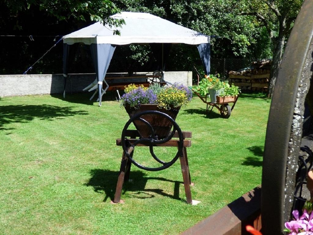 Location Elfe