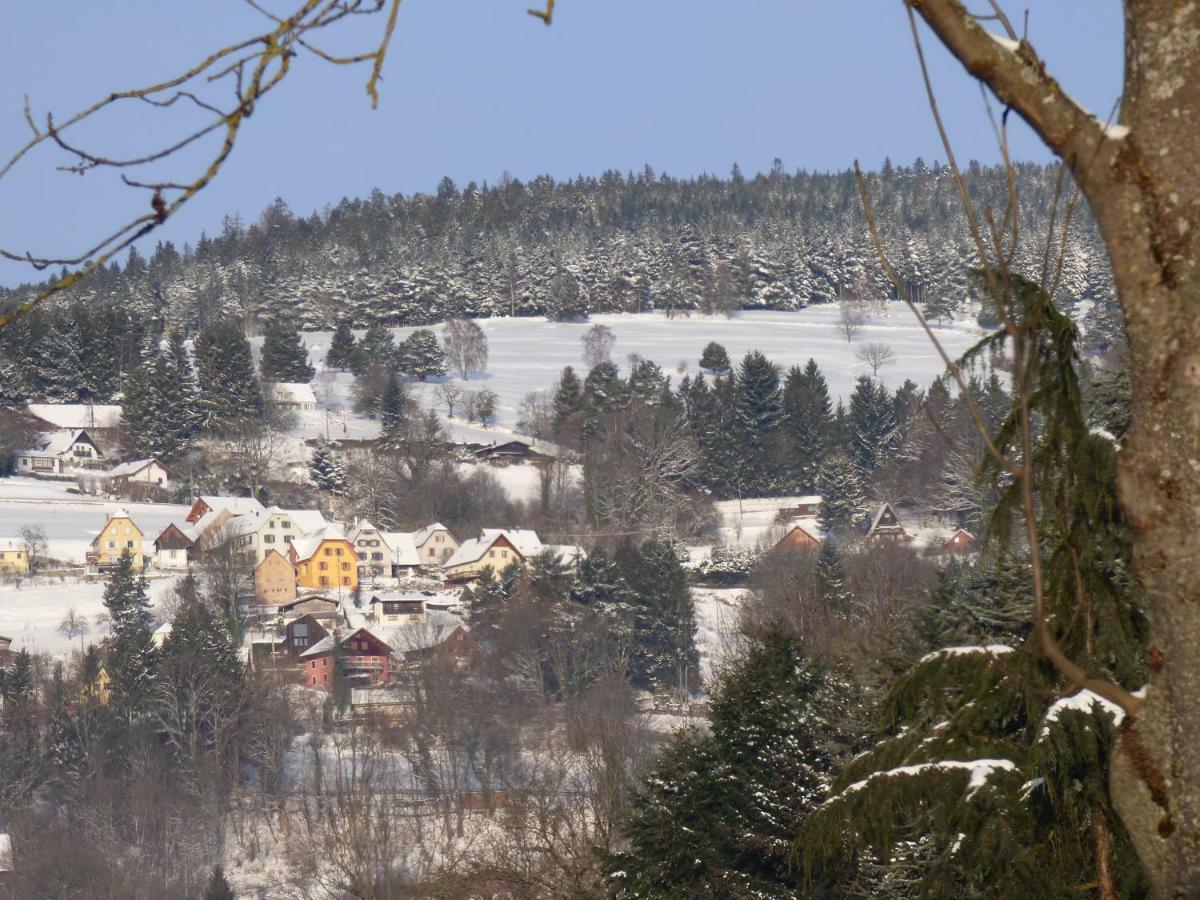 Location Elfe *