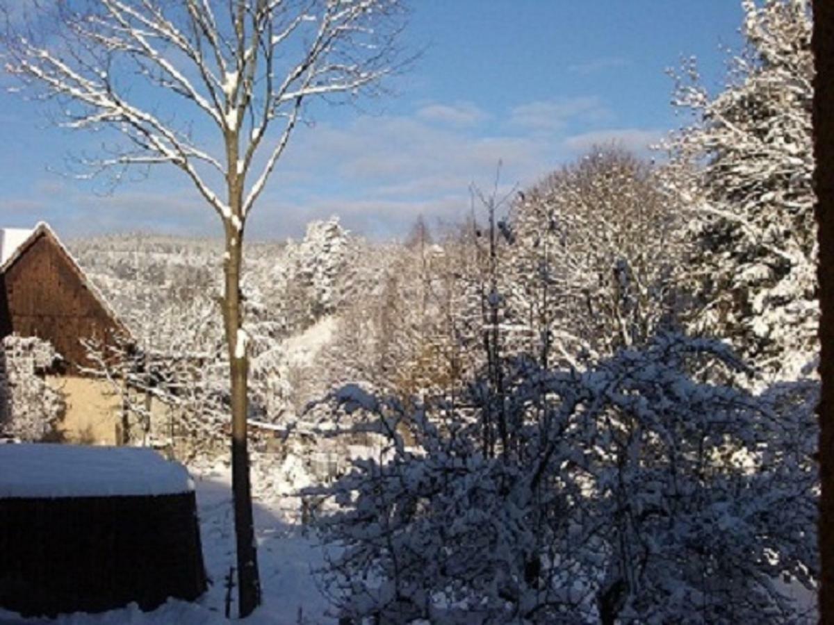 Apartment Location Elfe Stosswihr