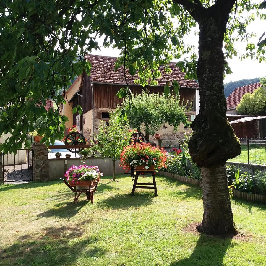 Apartment Location Elfe